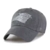 Carolina Panthers '47 – barwione, wyczyszczone